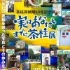 実はあなたもすでに茶柱展／茶柱探検隊40号記念展