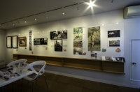 「茶柱探検隊寄稿者展／耳穴虫大図鑑」は終了いたしました